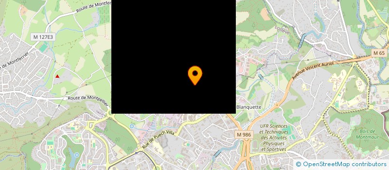 localisation de l'entreprise MONSIEUR MOHAMED ZID à MONTPELLIER