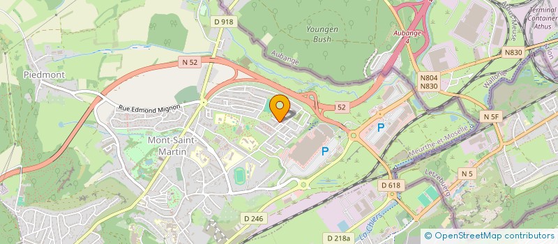 localisation de l'entreprise MONSIEUR MOHAMED ZITOUNI  MONT-SAINT-MARTIN