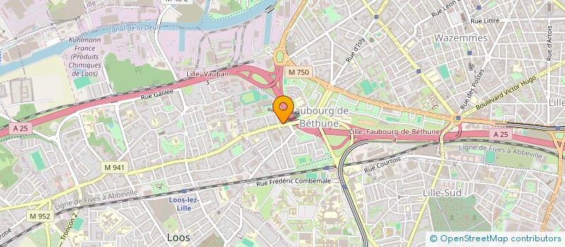 localisation de l'entreprise MONSIEUR MOHAMMAD ALAHMAD  LILLE