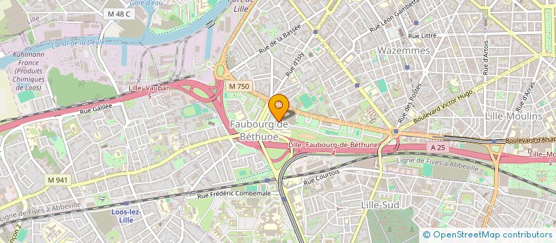 localisation de l'entreprise MONSIEUR MOHAMMAD BASIT OMARI  LILLE