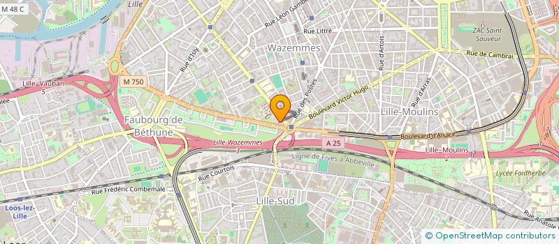 localisation de l'entreprise MONSIEUR MOHAMMAD MOHMMADI à LILLE