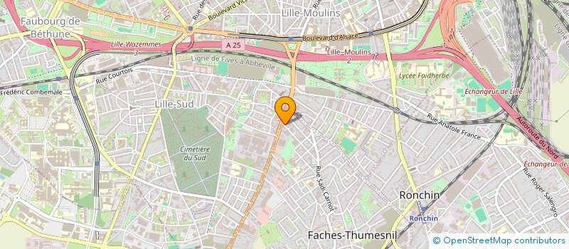 localisation de l'entreprise MONSIEUR MOHAMMAD RANA  FACHES-THUMESNIL