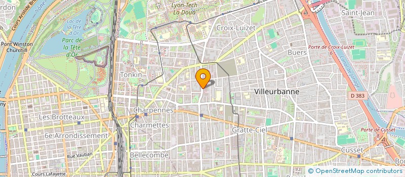 localisation de l'entreprise MONSIEUR MOHAMMAD SAYED  VILLEURBANNE