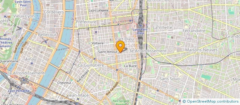 localisation de l'entreprise MONSIEUR MOHAMMED ABDELA  LYON