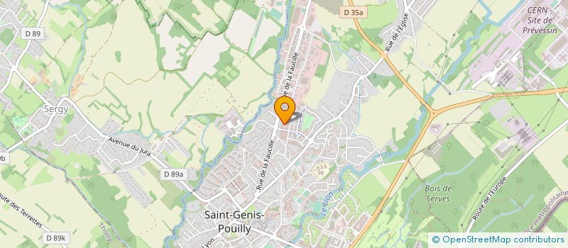 localisation de l'entreprise MONSIEUR MOHAMMED ABDERRAFI à SAINT-GENIS-POUILLY