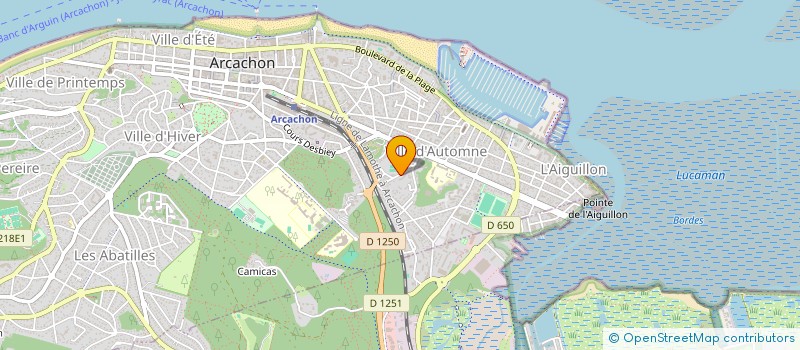 localisation de l'entreprise MONSIEUR MOHAMMED BELARBI  ARCACHON