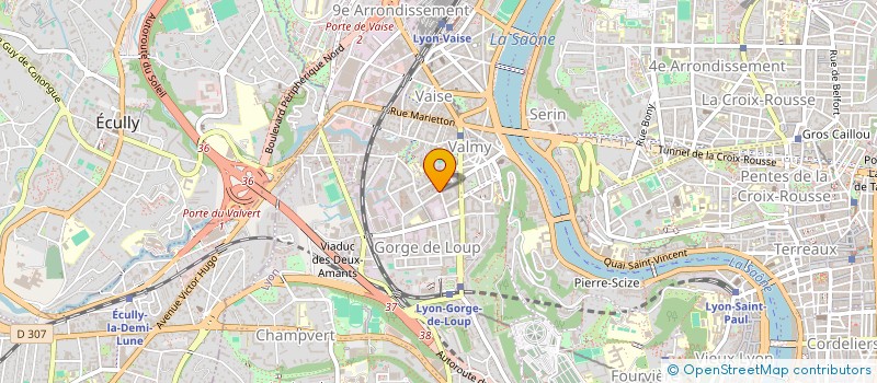 localisation de l'entreprise MONSIEUR MOHAMMED BENSAFI  LYON