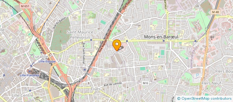 localisation de l'entreprise MONSIEUR MOHAMMED BENSAMAINE  LILLE