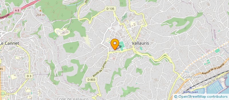 localisation de l'entreprise MONSIEUR MOHAMMED BENSAOULA  VALLAURIS