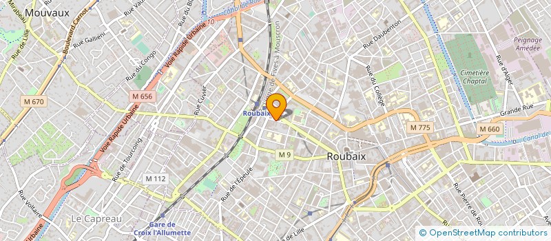 localisation de l'entreprise MONSIEUR MOHAMMED CHAFIQ  VILLENEUVE-D'ASCQ