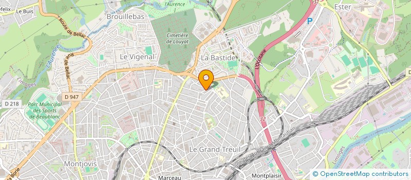localisation de l'entreprise MONSIEUR MOHAMMED CHIBANE à LIMOGES