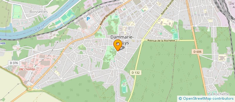 localisation de l'entreprise MONSIEUR MOHAMMED DAOUADJI à DAMMARIE-LES-LYS