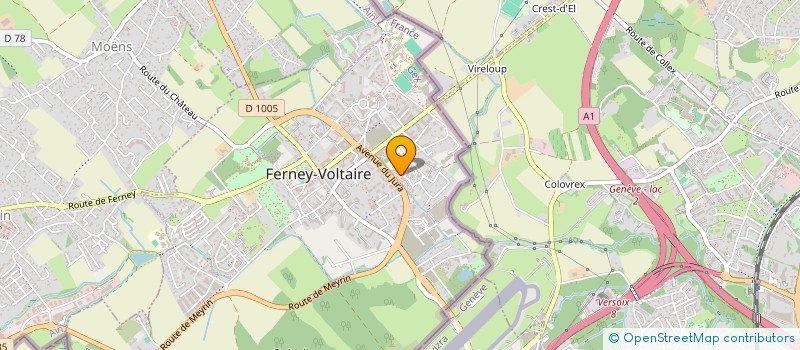localisation de l'entreprise MONSIEUR MOHAMMED EL MIKH à FERNEY-VOLTAIRE