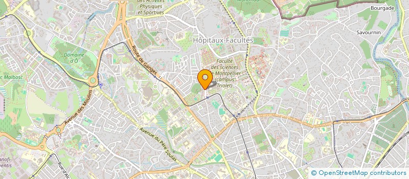 localisation de l'entreprise MONSIEUR MOHAMMED FAKHER ISAL HAMMOUCHE  MONTPELLIER