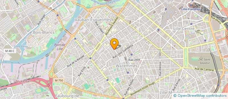 localisation de l'entreprise MONSIEUR MOHAMMED IBRAHIM GUENDR  LILLE