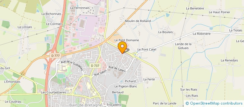 localisation de l'entreprise MONSIEUR MOHAMMED JEBLI  BAIN-DE-BRETAGNE