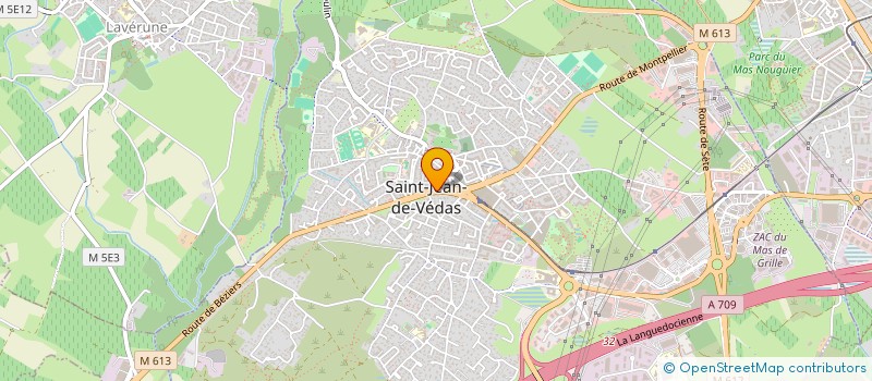 localisation de l'entreprise MONSIEUR MOHAMMED MOUMOU  SAINT-JEAN-DE-VEDAS