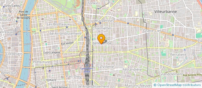 localisation de l'entreprise MONSIEUR MOHAMMED SAJID  LYON