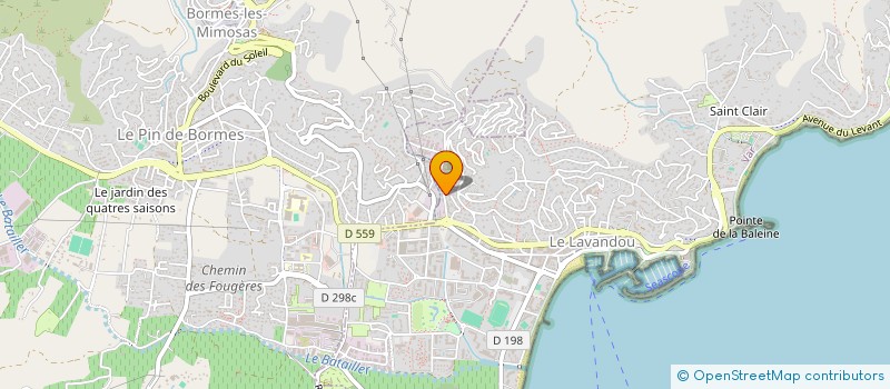 localisation de l'entreprise MONSIEUR MOHAMMED SALKI  BORMES-LES-MIMOSAS