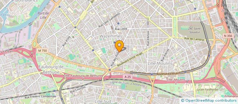 localisation de l'entreprise MONSIEUR MOHAMMED SEMAOUI  LILLE