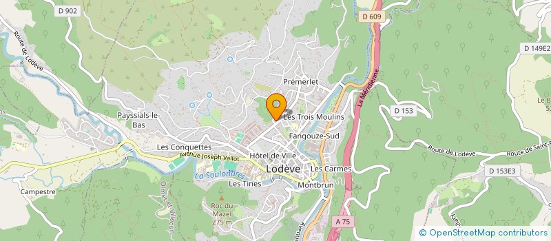 localisation de l'entreprise MONSIEUR MOHAMMED-WASSIM REDOUANE  LODEVE