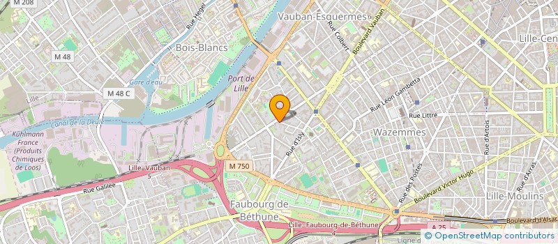 localisation de l'entreprise MONSIEUR MOHAMMED YAGOUB à LILLE