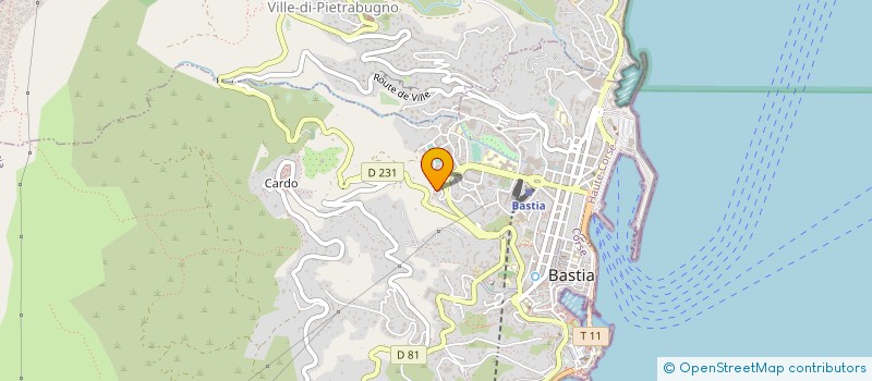 localisation de l'entreprise MONSIEUR MOHSEN ABIDI à BASTIA