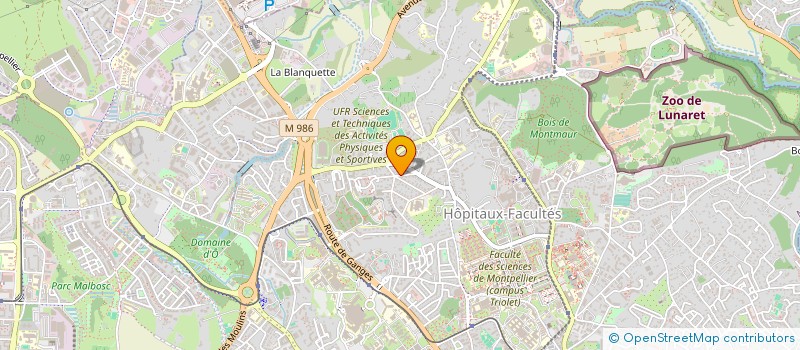 localisation de l'entreprise MONSIEUR MOHSINE TASSI  MONTPELLIER