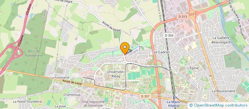 localisation de l'entreprise MONSIEUR MOHSSINE SAIDI  LE MANS