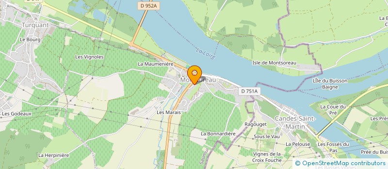 localisation de l'entreprise MONSIEUR MOISE FLEURY  MONTSOREAU