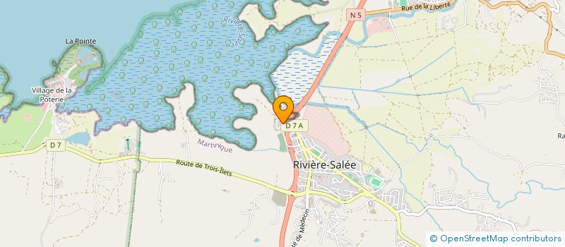 localisation de l'entreprise MONSIEUR MOISE GROS-DESORMEAUX à RIVIERE-SALEE
