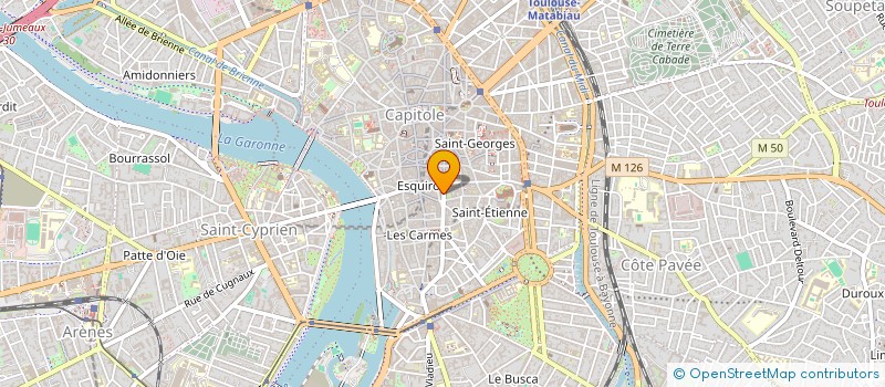 localisation de l'entreprise MONSIEUR MOISE MESTRIAUX à TOULOUSE