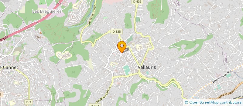 localisation de l'entreprise MONSIEUR MONCEF SELMI à VALLAURIS