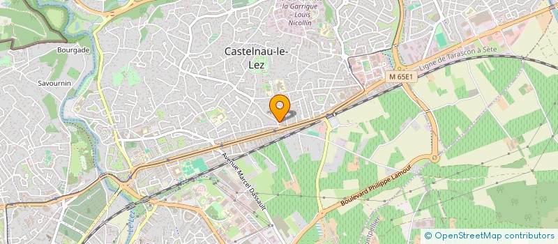 localisation de l'entreprise MONSIEUR MONDOR BEN MASTOURA  CASTELNAU-LE-LEZ