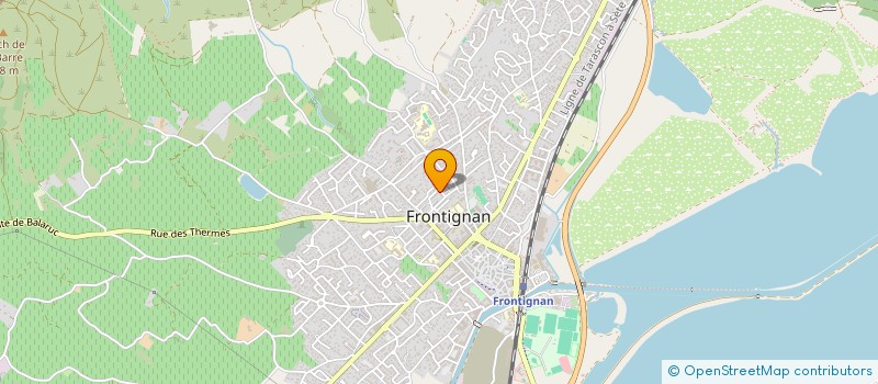 localisation de l'entreprise MONSIEUR MONGI AKERMI  FRONTIGNAN