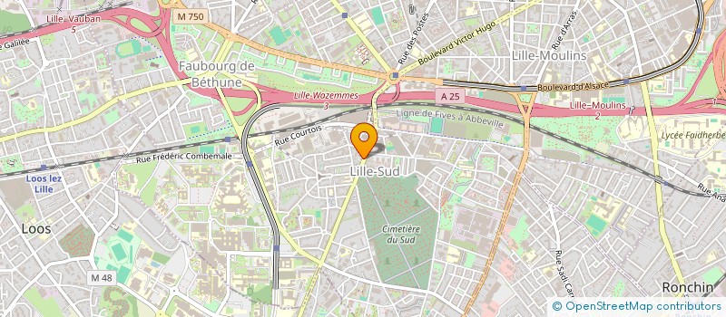 localisation de l'entreprise MONSIEUR MONIR MOROUCHE à LILLE