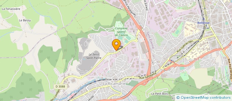 localisation de l'entreprise MONSIEUR MONIROM EAV  LA RICAMARIE