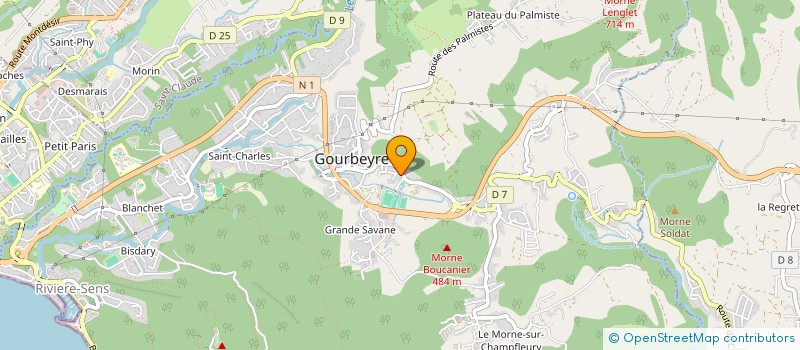 localisation de l'entreprise MONSIEUR MORGAN ARBAU  GOURBEYRE