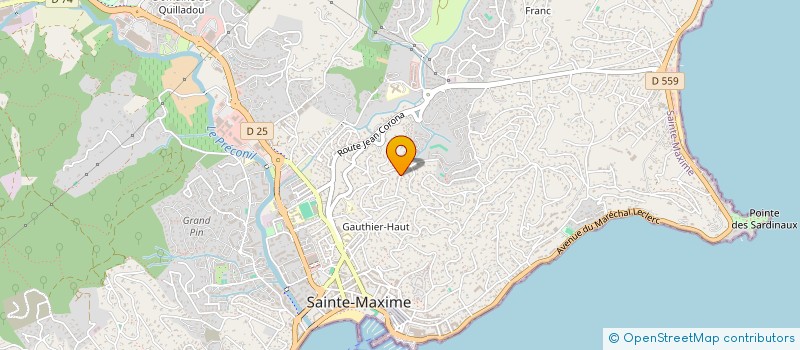 localisation de l'entreprise MONSIEUR MORGAN DELAVILLE à SAINTE-MAXIME