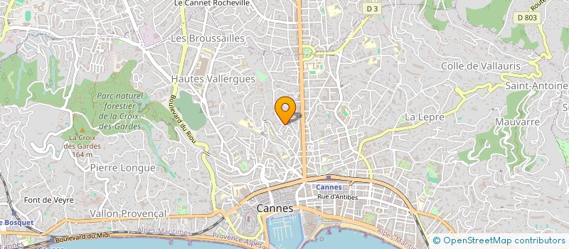localisation de l'entreprise MONSIEUR MORGAN FLORIN à CANNES