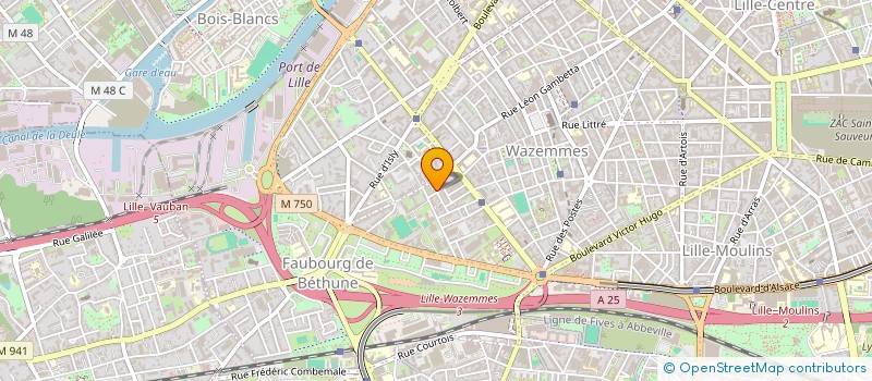 localisation de l'entreprise MONSIEUR MORGAN NORMAND à LILLE