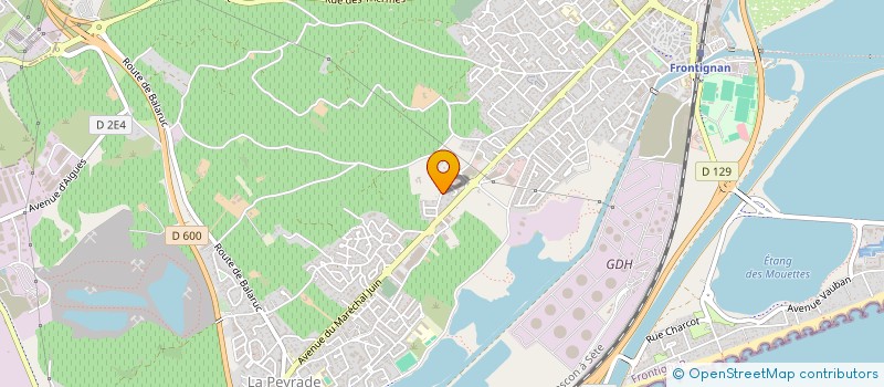 localisation de l'entreprise MONSIEUR MORGAN VALE à FRONTIGNAN