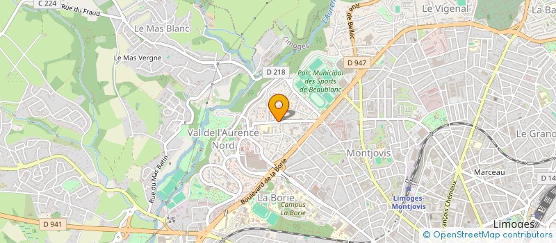 localisation de l'entreprise MONSIEUR MOUAAD ARISS  LIMOGES