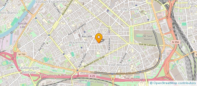 localisation de l'entreprise MONSIEUR MOUCTAR DIABY à LILLE