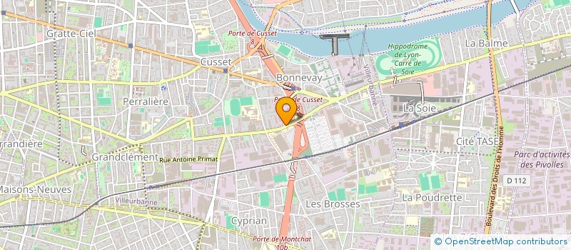 localisation de l'entreprise MONSIEUR MOUHAMADOU BAMBA FAYE  VILLEURBANNE