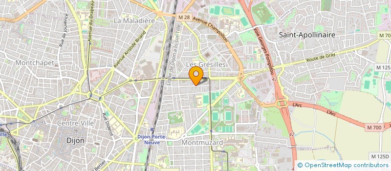 localisation de l'entreprise MONSIEUR MOUHAMED OYACHIDI LIADI à DIJON