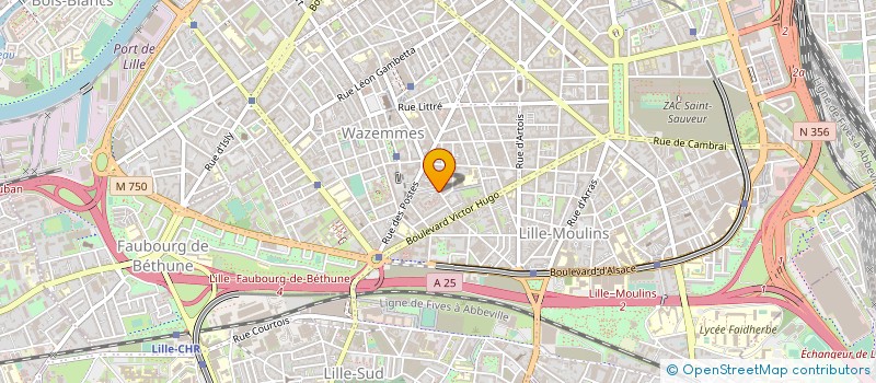 localisation de l'entreprise MONSIEUR MOUHAMED SAO à LILLE