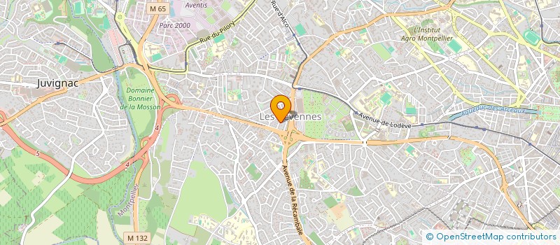 localisation de l'entreprise MONSIEUR MOULOUD ISMAIL à MONTPELLIER