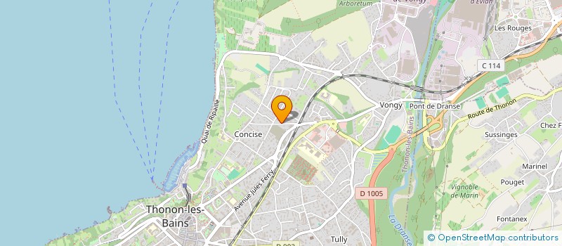 localisation de l'entreprise MONSIEUR MOUMEN ANKOURI à THONON-LES-BAINS