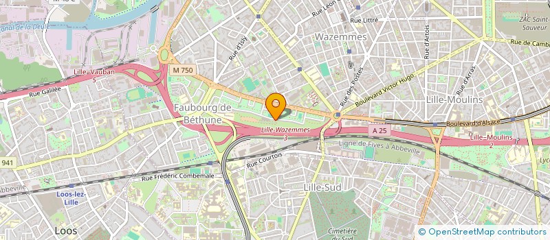localisation de l'entreprise MONSIEUR MOUNIR BACHIR à LILLE